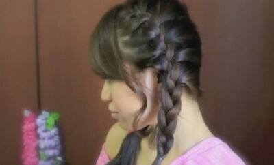 French Braid Pigtails Hairstyle